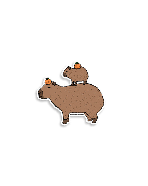 CAPYBARA